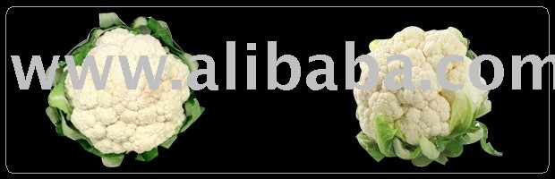 iqf cauliflower