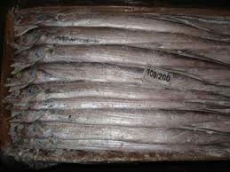FROZEN RIBBON FISH FOR SALE