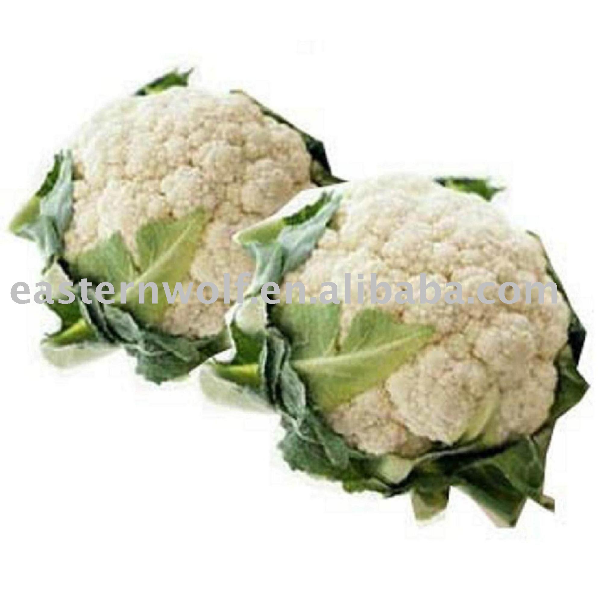 Fresh Chinese Cauliflower, White Color