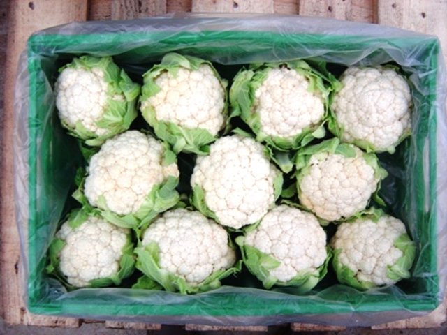 Bio Cauliflower