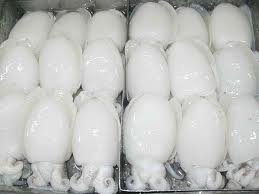  frozen   whole   cuttlefish 
