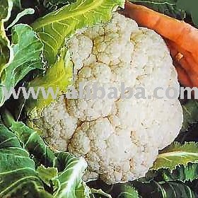 Cauli Flower