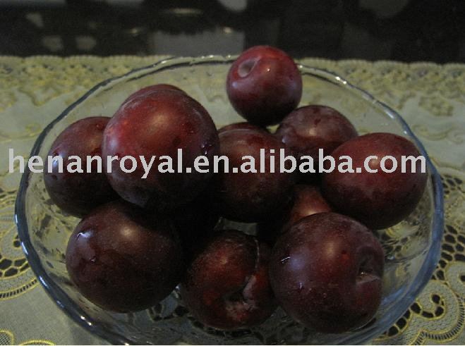 fresh plum