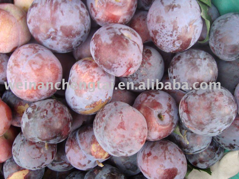 plum