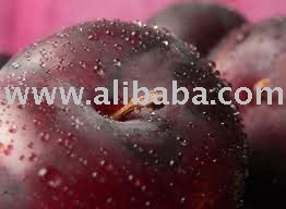  FRESH   PLUM   FRUIT S