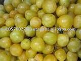 Plums yellow