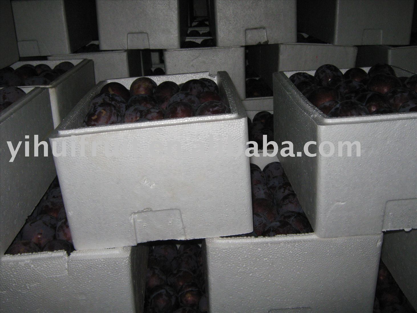 plum (04)