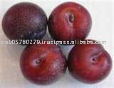 Plums Red