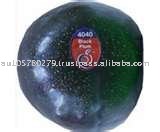 Plums balck