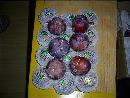 plum