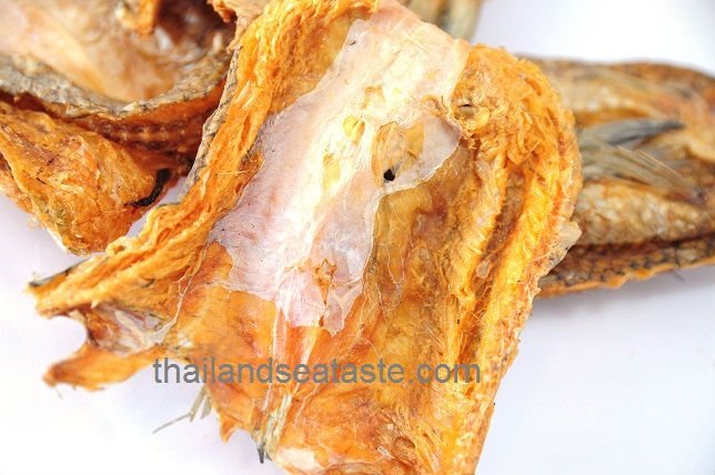 Dried Brushtooth Lizardfish