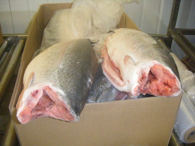 Chilean Salmon