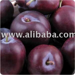 PLUMS FRUITS