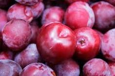PLUM