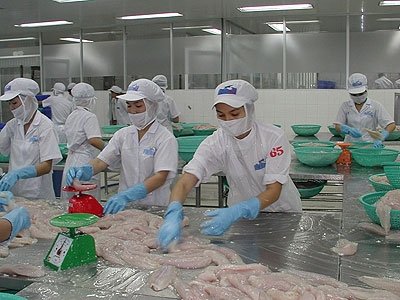 Farmed Basa Fish products,Thailand Farmed Basa Fish supplier