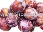 Prizantin PLUM