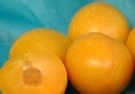 Plum: Golden Kiss