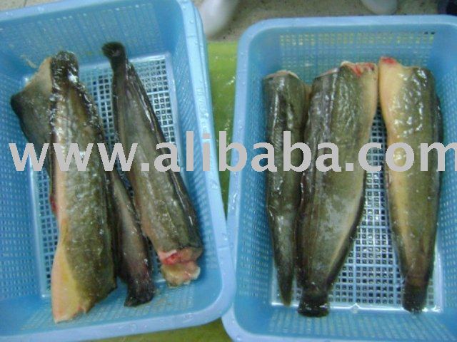 Yellow Catfish,Mahi,Tuna,Red Snapper,Grouper,Fish,Shrimp ( BT, vannamei),Cuttlefish,Octopus,Squid,Se