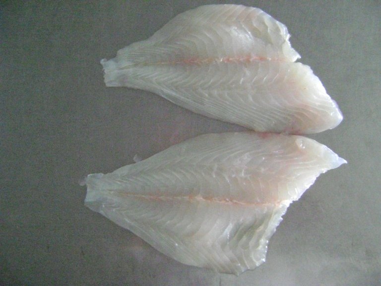 White Snapper,Mahi,Tuna,Red Snapper,Grouper,Fish,Shrimp ( BT, vannamei...),Cuttlefish,Octopus,Squid,