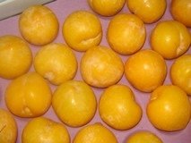 Plum: Songold,South Africa price supplier - 21food