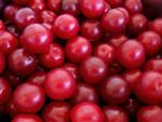  Cherry   Plum s