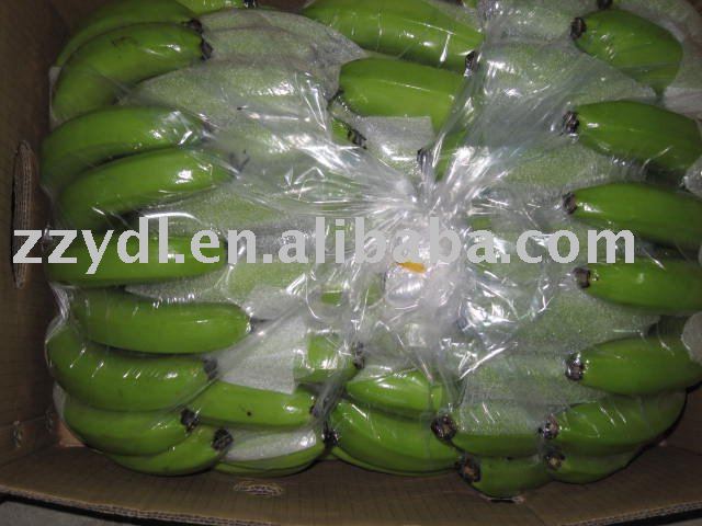 Fresh Green Bananas
