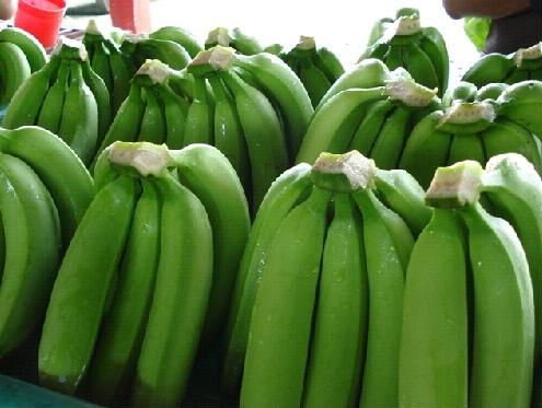 FRESH  DOLE   BANANAS 
