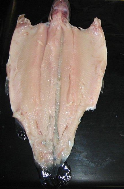  Rainbow   trout  boned