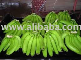 Cavendish,Manzano,PLaintain Baby/Nino Banana and Dwarf Banana From Cameroon 240usd per mt cif