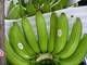 fresh bananas