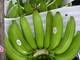 best grade  banana s