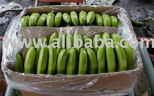 FRESH DARK GREEN CAVENDISH BANANAS