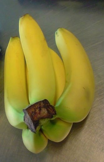 Cavendish  Banana ,  Green   Banana  Cheap and Quality