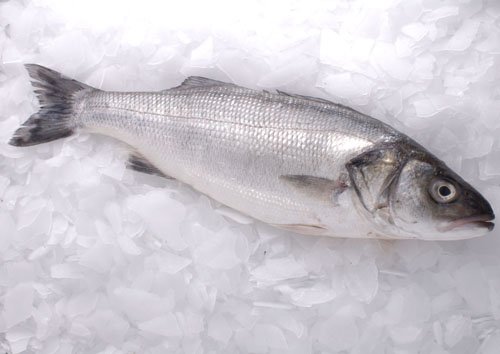 Fresh and Frozen Sea Bass,United Kingdom Dalyan Seafood price supplier ...