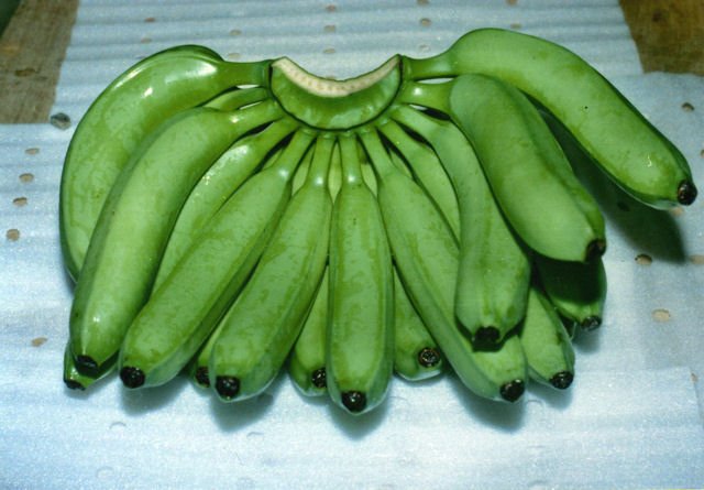  Banana s, Cavendish  Banana s,  Fresh   Banana s