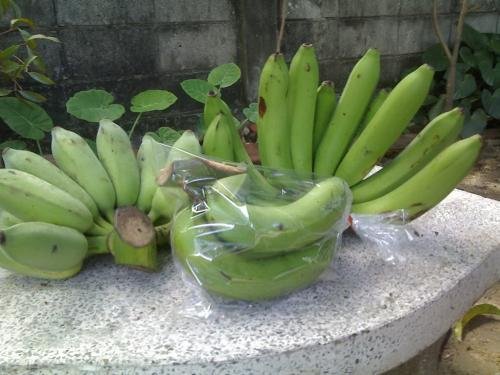 Banana  Fresh   Fruit  from Thailand 100%