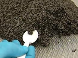 BLACK CAVIAR
