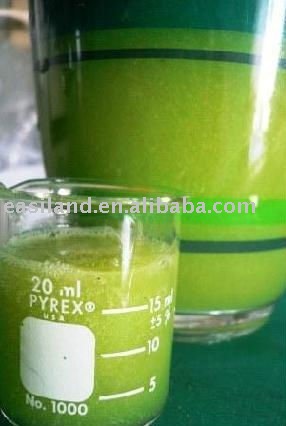  fresh   kiwi   juice  concentrateNO.04