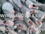 oilfish