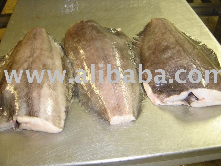 Frozen Halibut,United States price supplier - 21food