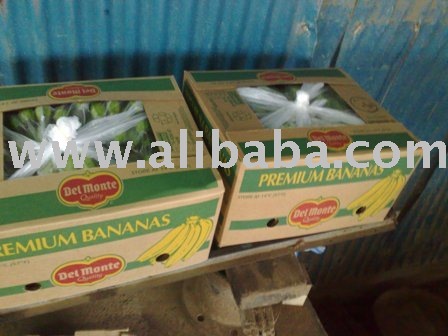 100% DARK GREEN CAVENDISH BEST PREMIUM BANANAS AND PLANTAIN BANANAS OFFER BY DELMONTE LTD