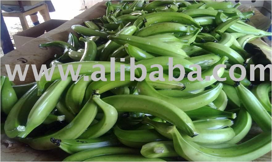 green plantain/bananas