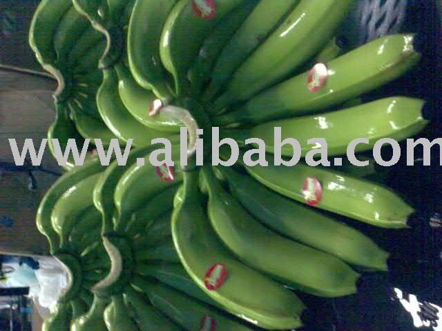 Cavendish Banana