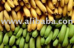 Fresh green and Ripe bananas