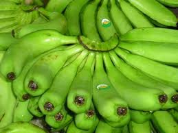 Carvendish banana