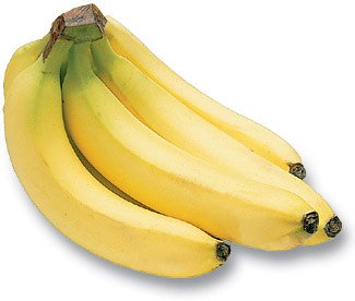 Fresh green Banana