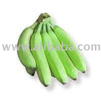 cavendish banana