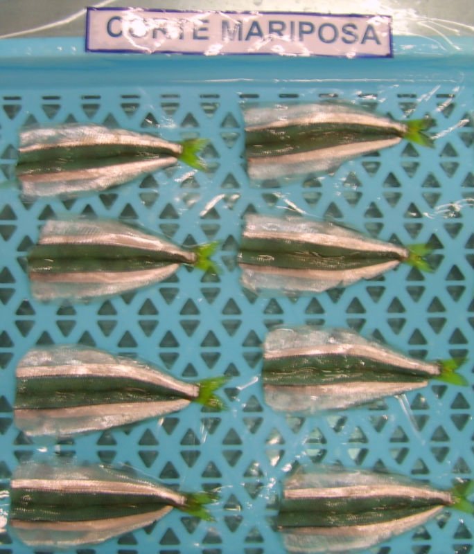  Frozen   Smelt 