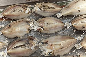 dried tamban  fish