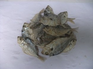  SUN   DRIED   SALT  FISH